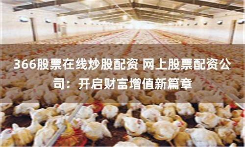 366股票在线炒股配资 网上股票配资公司：开启财富增值新篇章