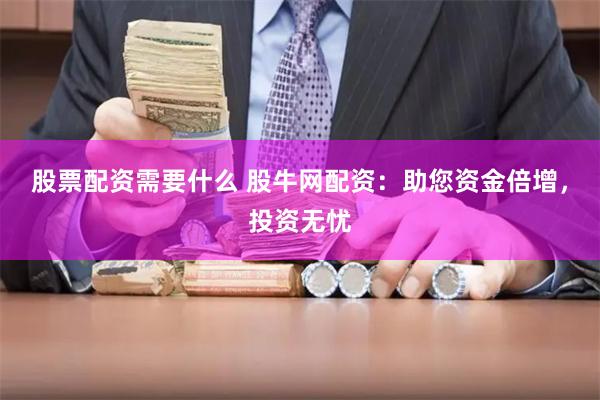 股票配资需要什么 股牛网配资：助您资金倍增，投资无忧