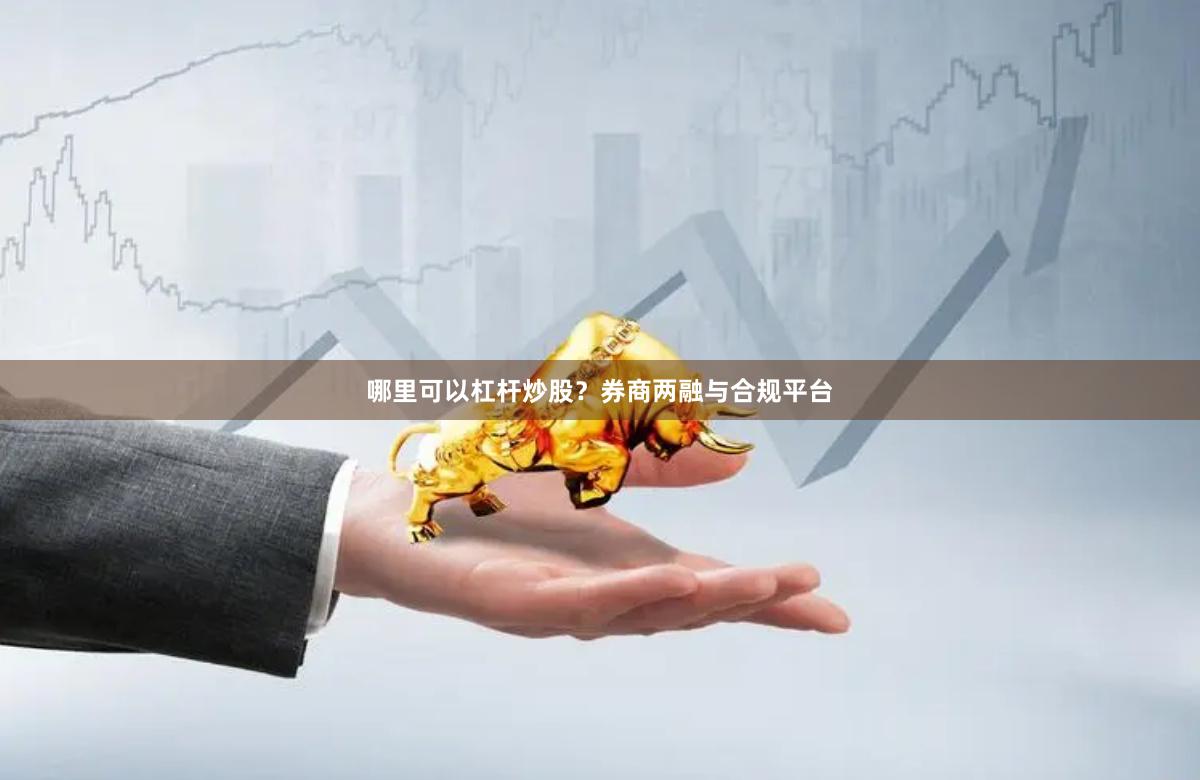 哪里可以杠杆炒股？券商两融与合规平台