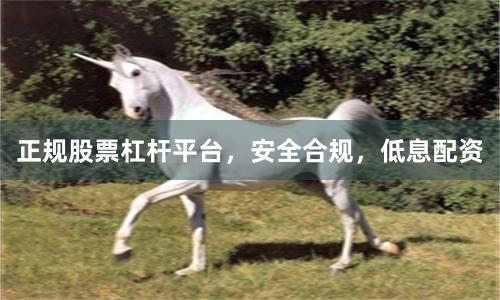 正规股票杠杆平台，安全合规，低息配资